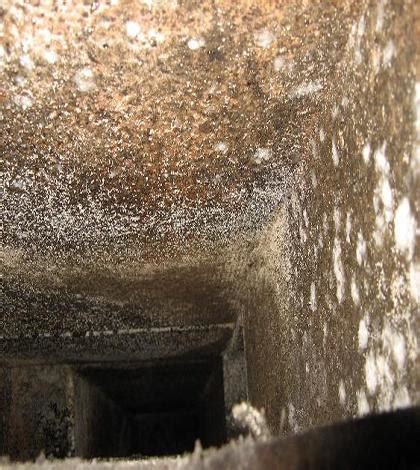 mold in ductwork system